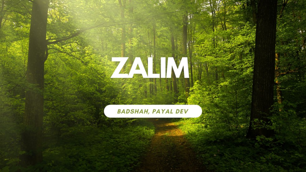 Zalim Lyrics - Badshah, Payal Dev