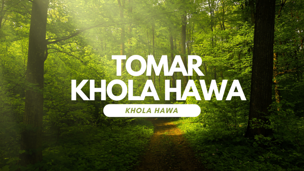 Tomar Khola Hawa Lyrics - Shaan